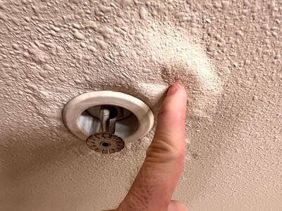About Williams Bay Black Mold Removal - black mold removal experts in Williams Bay